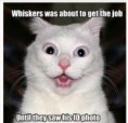/album/lol-cats/images-1-jpg/